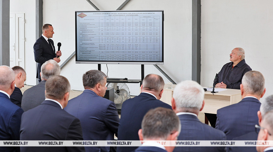 Александр Лукашенко поручил обсудить целесообразность строительства крупных свинокомплексов на 100 тыс. голов