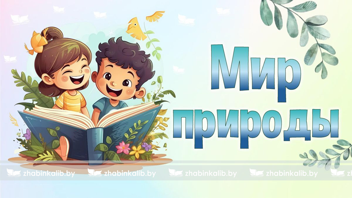 В Хмелевской сельской библиотеке прошёл интеллектуальный турнир «Мир природы»