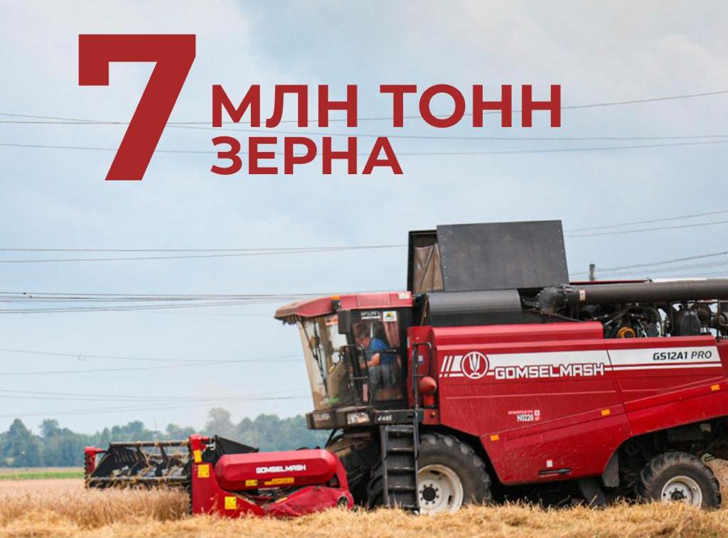 В Беларуси намолотили 7 миллионов тонн зерна