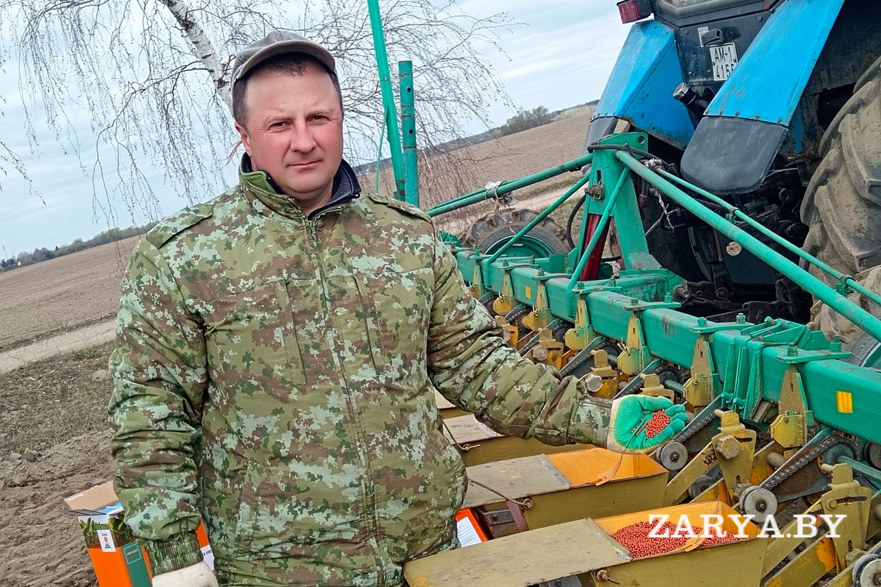 Сладкий сев: в Жабинковском районе начали сеять сахарную свеклу