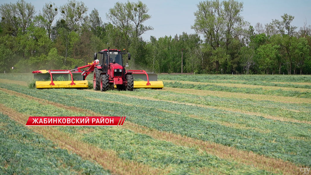 В Брестской области приступили к заготовке травяных кормов