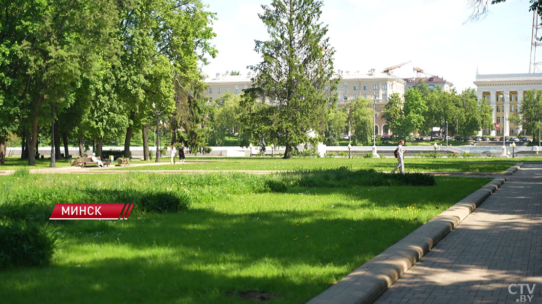 В Беларуси растет сезонная активность клещей. Что делать при укусе?