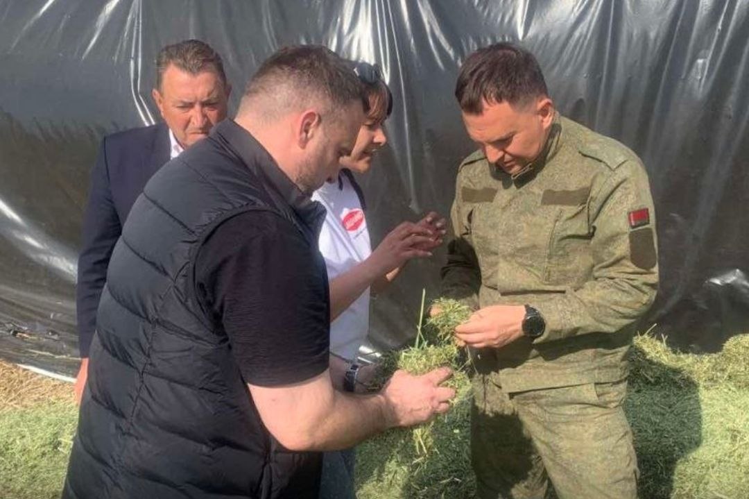 Заготовка кормов в Жабинковском районе — на особом контроле председателя райисполкома