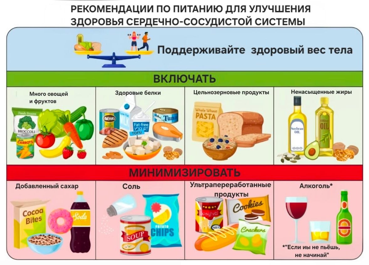 Рекомендации по питанию 2026 для улучшения здоровья сердечно-сосудистой системы: научное заявление Американской ассоциации сердца