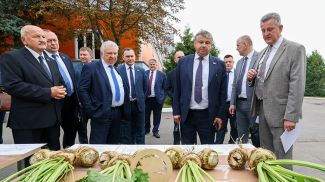 Когда в Беларуси начнется заготовка сахара? Шулейко оценил готовность комбинатов к сезону