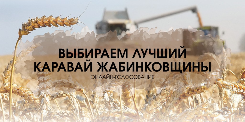 ВЫБИРАЕМ ЛУЧШИЙ КАРАВАЙ ЖАБИНКОВЩИНЫ