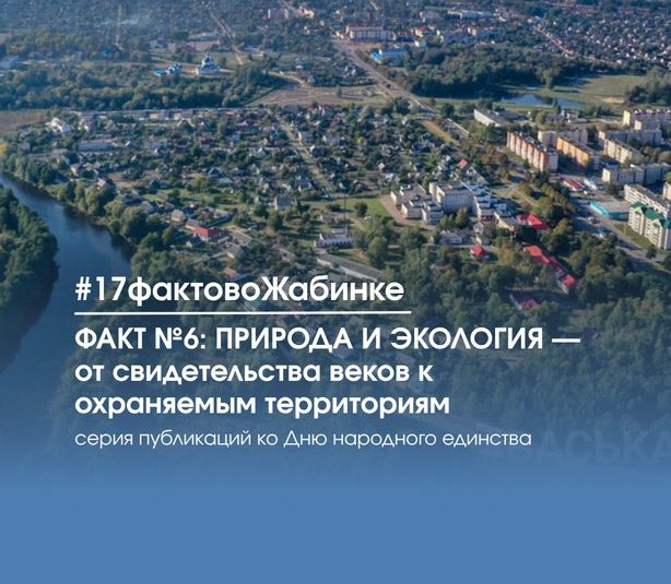 17 фактов о Жабинковском районе: факт №6: ПРИРОДА И ЭКОЛОГИЯ — от свидетельства веков к охраняемым территориям